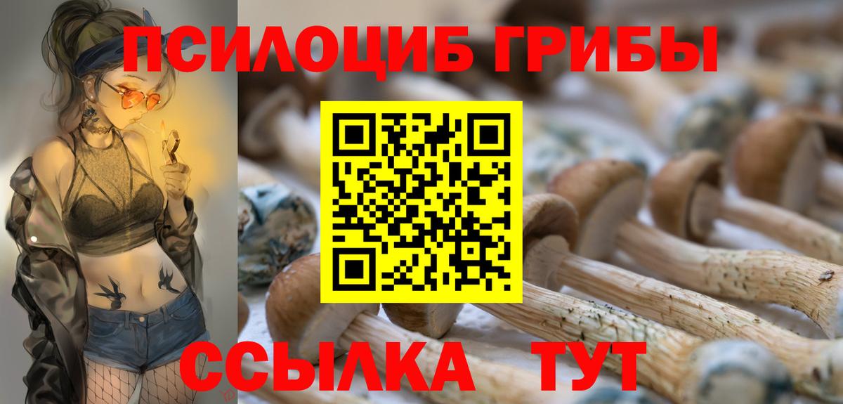Галлюциногенные грибы Magic Shrooms Калач-на-Дону