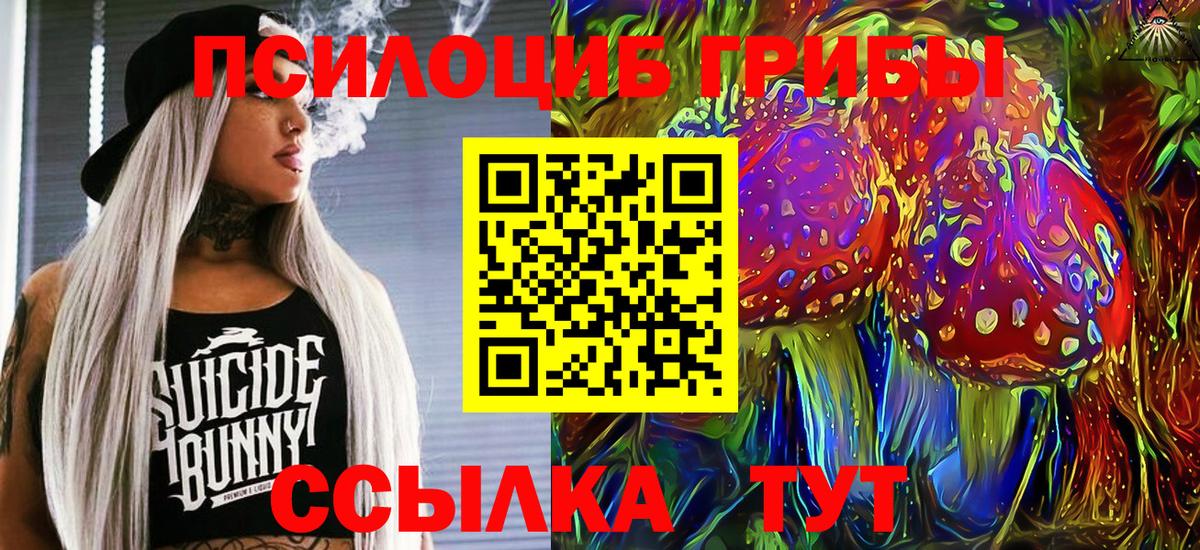 Галлюциногенные грибы Cubensis  Галлюциногенные грибы MAGIC MUSHROOMS  Вход с VPN  Калач-на-Дону 